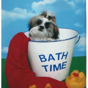 Meet your Posher, Clyde